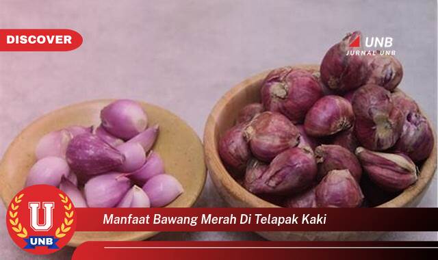 Temukan 8 Manfaat Bawang Merah di Telapak Kaki untuk Kesehatan Anda