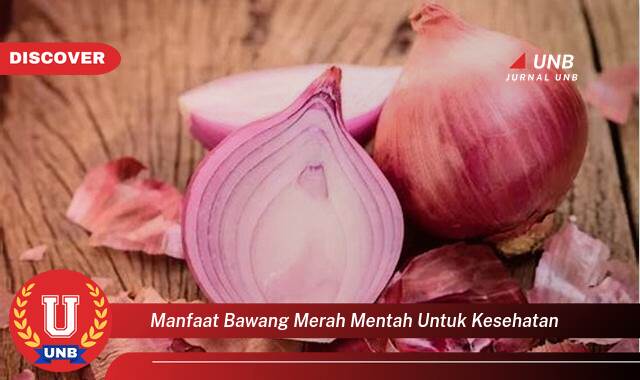 Temukan 10 Manfaat Bawang Merah Mentah untuk Kesehatan Tubuh Anda