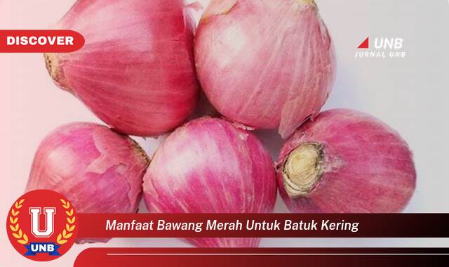 9 Manfaat Bawang Merah untuk Batuk Kering yang Jarang Diketahui