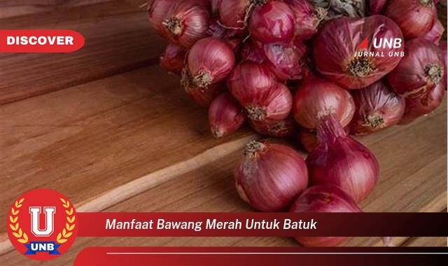 Temukan 10 Manfaat manfaat bawang merah untuk batuk yang Jarang Diketahui