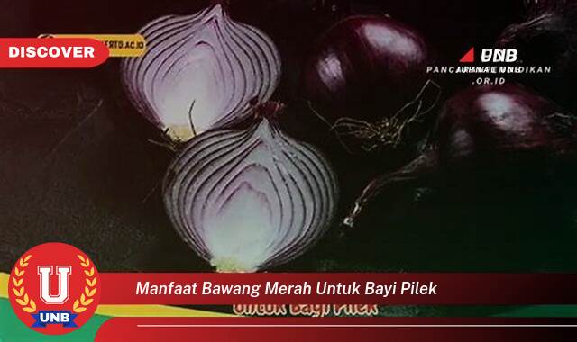 Temukan 9 Manfaat Bawang Merah untuk Bayi Pilek yang Bikin Kamu Penasaran