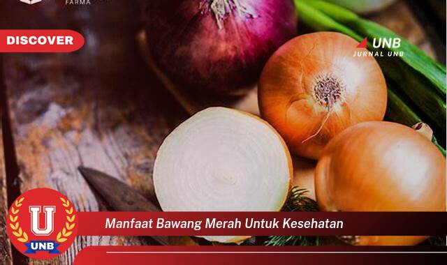 Temukan 8 Manfaat Bawang Merah untuk Kesehatan, Meningkatkan Imunitas dan Menjaga Tubuh Tetap Sehat Temukan 8 Manfaat Bawang Merah untuk Kesehatan, Meningkatkan Imunitas dan Menjaga Tubuh Tetap Sehat