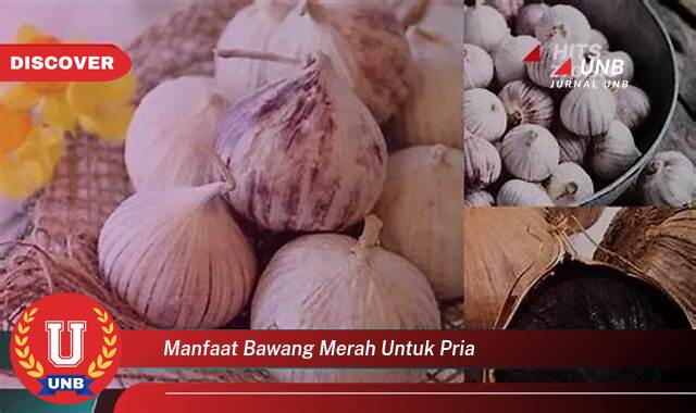 8 Manfaat Bawang Merah untuk Pria yang Jarang Diketahui