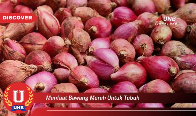 Ketahui 8 Manfaat manfaat bawang merah untuk tubuh yang Bikin Kamu Penasaran