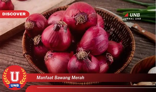 manfaat bawang merah