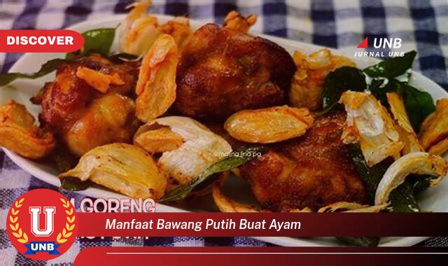Ketahui 10 Manfaat manfaat bawang putih buat ayam yang Wajib Kamu Intip
