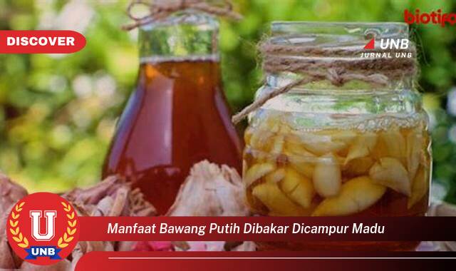 Temukan 9 Manfaat manfaat bawang putih dibakar dicampur madu yang Wajib kamu ketahui