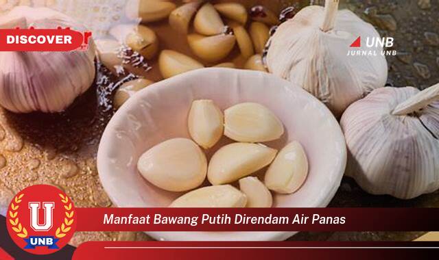 Temukan 10 Manfaat Bawang Putih Direndam Air Panas untuk Kesehatan Anda