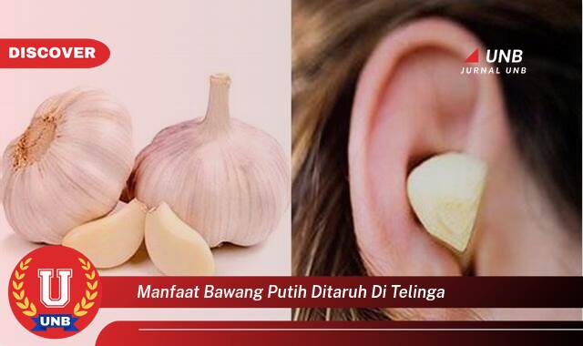 Temukan 9 Manfaat Bawang Putih di Telinga, Mengatasi Sakit Telinga dan Infeksi Secara Alami