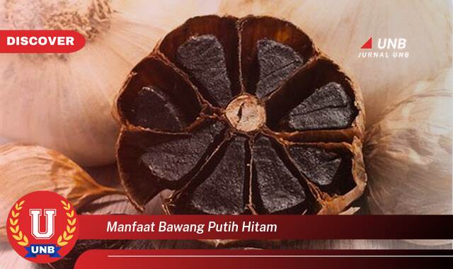 Temukan 8 Manfaat Bawang Putih Hitam untuk Kesehatan Tubuh Anda