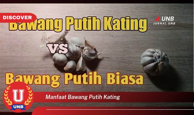 Ketahui 8 Manfaat manfaat bawang putih kating yang Jarang Diketahui