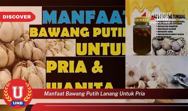8 Manfaat manfaat bawang putih lanang untuk pria yang Wajib kamu ketahui