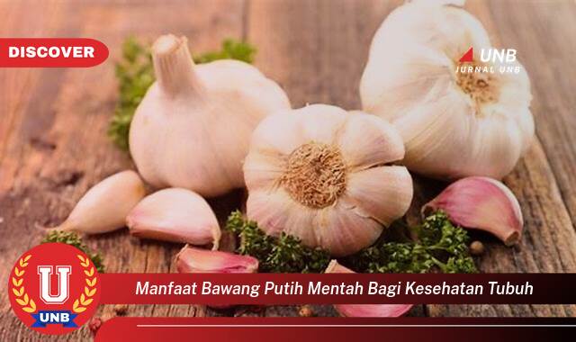 Temukan 9 Manfaat manfaat bawang putih mentah bagi kesehatan tubuh yang Jarang Diketahui