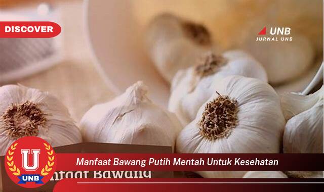 Temukan 8 Manfaat manfaat bawang putih mentah untuk kesehatan yang Bikin Kamu Penasaran