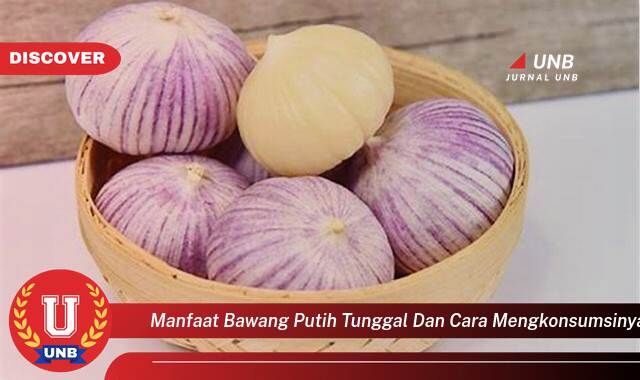 Temukan 8 Manfaat Bawang Putih Tunggal untuk Kesehatan dan Cara Mengonsumsinya dengan Benar