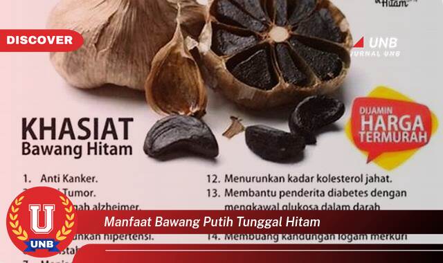 Temukan 8 Manfaat Bawang Putih Tunggal Hitam untuk Kesehatan Anda