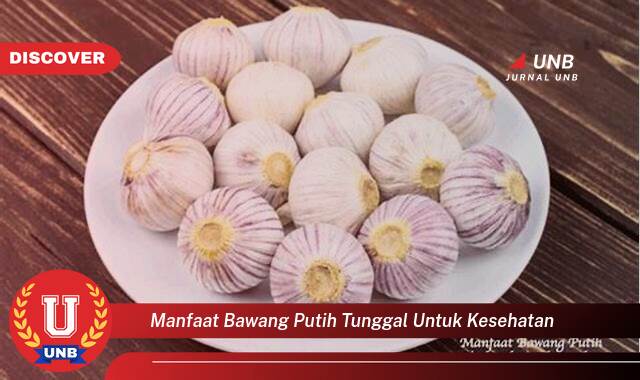 Ketahui 10 Manfaat manfaat bawang putih tunggal untuk kesehatan yang Wajib Kamu Intip