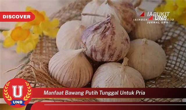 Temukan 10 Manfaat Bawang Putih Tunggal untuk Kesehatan Pria, Meningkatkan Stamina, Imunitas, dan Vitalitas Temukan 10 Manfaat Bawang Putih Tunggal untuk Kesehatan Pria, Meningkatkan Stamina, Imunitas, dan Vitalitas