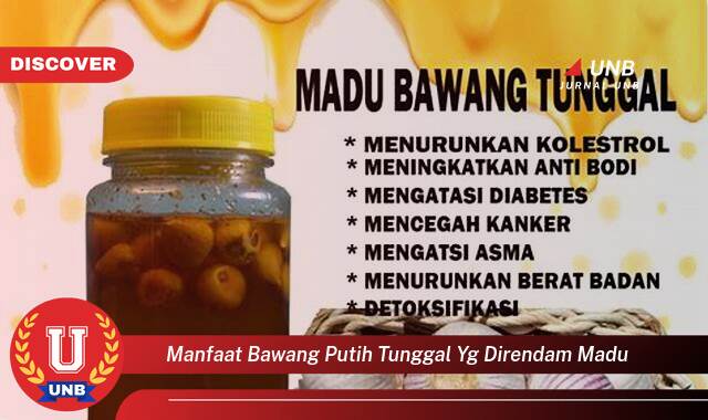 10 Manfaat Bawang Putih Tunggal Rendam Madu yang Wajib Kamu Intip