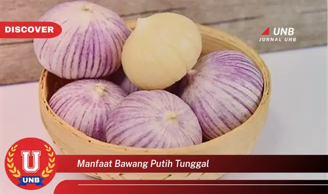 manfaat bawang putih tunggal