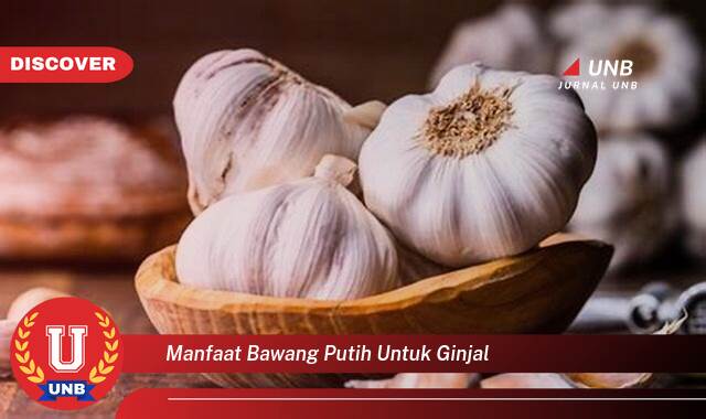 Temukan 10 Manfaat Bawang Putih untuk Ginjal, Kesehatan Ginjal yang Lebih Baik Secara Alami