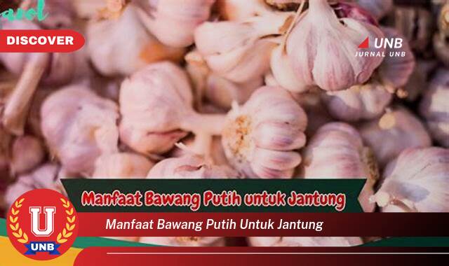 Inilah 8 Manfaat manfaat bawang putih untuk jantung yang Jarang Diketahui