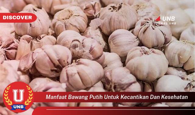 Ketahui 10 Manfaat manfaat bawang putih untuk kecantikan dan kesehatan yang Wajib kamu ketahui
