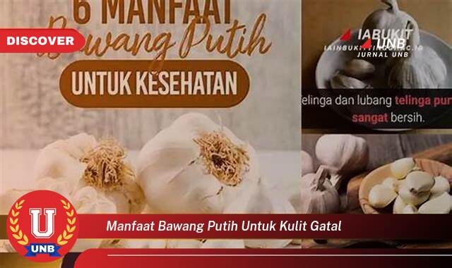 Temukan 10 Manfaat manfaat bawang putih untuk kulit gatal yang Wajib Kamu Intip