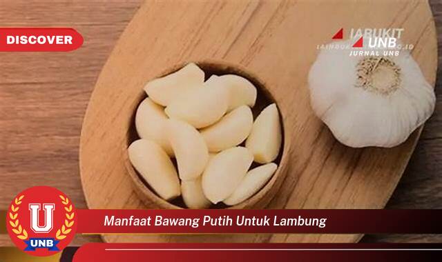 Temukan 9 Manfaat manfaat bawang putih untuk lambung yang Wajib Kamu Intip
