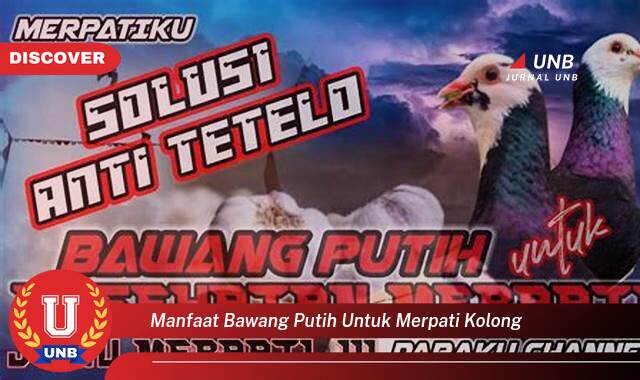 Ketahui 8 Manfaat manfaat bawang putih untuk merpati kolong yang Bikin Kamu Penasaran