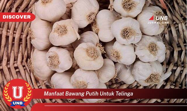 Temukan 10 Manfaat Bawang Putih untuk Telinga, Redakan Sakit dan Infeksi Secara Alami