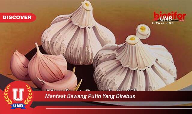 Inilah 9 Manfaat manfaat bawang putih yang direbus yang tidak Semua Orang Tau