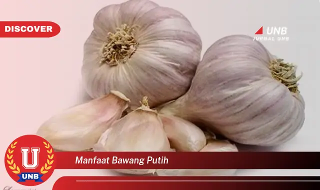 manfaat bawang putih