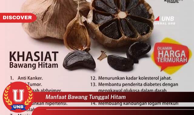 Temukan 8 Manfaat Bawang Tunggal Hitam untuk Kesehatan, Kecantikan, dan Cara Mengolahnya