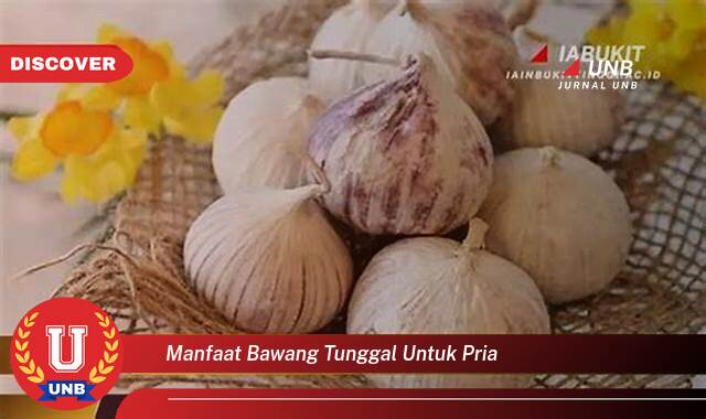 Ketahui 9 Manfaat manfaat bawang tunggal untuk pria yang Bikin Kamu Penasaran