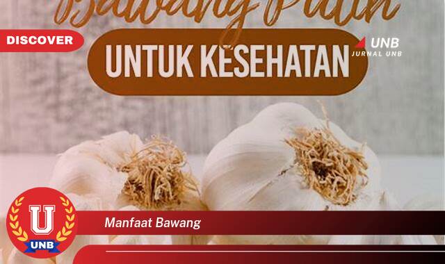 Temukan 10 Manfaat Bawang Merah, Putih, dan Bombay untuk Kesehatan