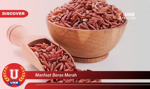 manfaat beras merah