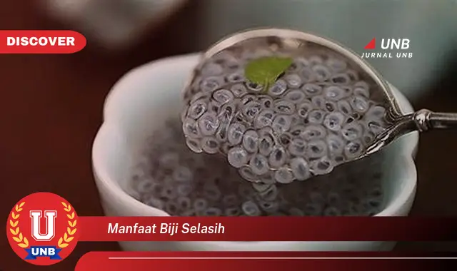 manfaat biji selasih
