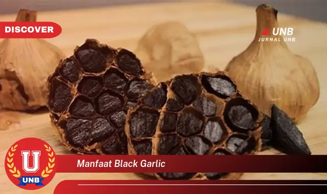 manfaat black garlic