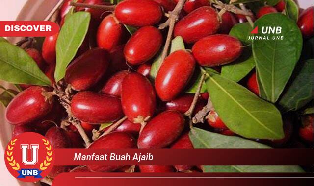Temukan 9 Manfaat Buah Ajaib untuk Kesehatan dan Kecantikan Anda Temukan 9 Manfaat Buah Ajaib untuk Kesehatan dan Kecantikan Anda
