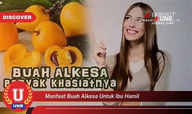 Temukan 9 Manfaat manfaat buah alkesa untuk ibu hamil yang tidak Semua Orang Tau