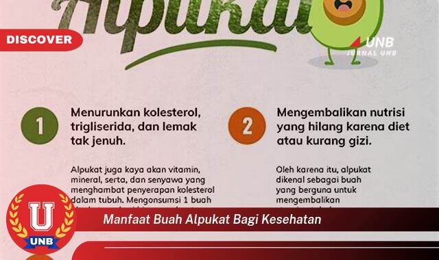 Temukan 9 Manfaat Buah Alpukat bagi Kesehatan Tubuh Anda Secara Keseluruhan