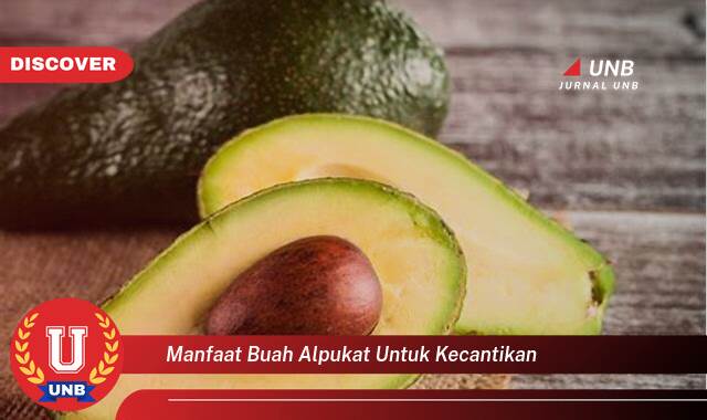 Ketahui 10 Manfaat manfaat buah alpukat untuk kecantikan yang Wajib kamu ketahui