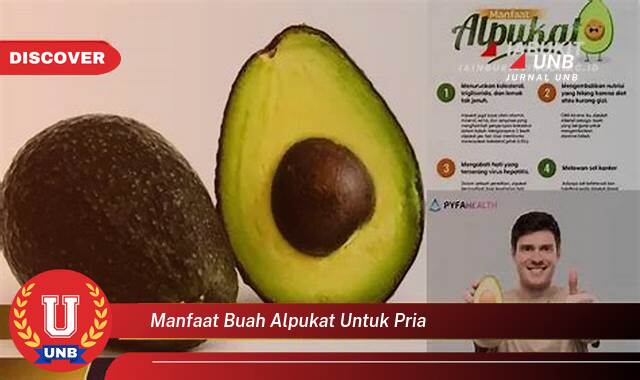 Temukan 10 Manfaat Buah Alpukat untuk Kesehatan Pria, Energi, Stamina, dan Vitalitas