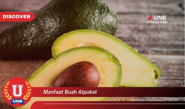 Temukan 9 Manfaat Buah Alpukat untuk Kesehatan Tubuh Anda Temukan 9 Manfaat Buah Alpukat untuk Kesehatan Tubuh Anda