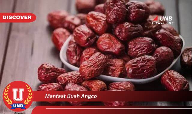 8 Manfaat manfaat buah angco yang Wajib kamu ketahui