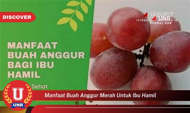 Inilah 10 Manfaat manfaat buah anggur merah untuk ibu hamil yang Wajib Kamu Intip