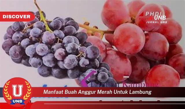 Inilah 8 Manfaat manfaat buah anggur merah untuk lambung yang Jarang Diketahui
