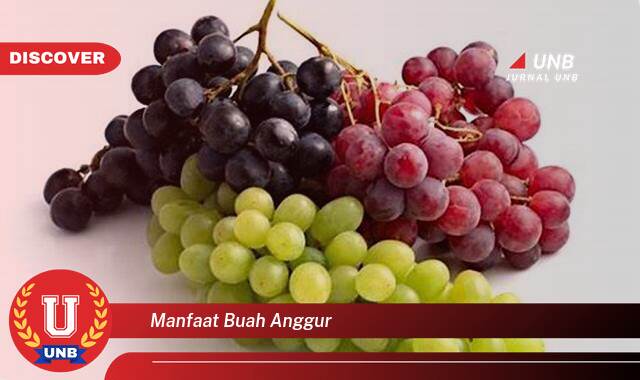 Temukan 9 Manfaat Buah Anggur untuk Kesehatan, Kecantikan, dan Diet Anda Temukan 9 Manfaat Buah Anggur untuk Kesehatan, Kecantikan, dan Diet Anda