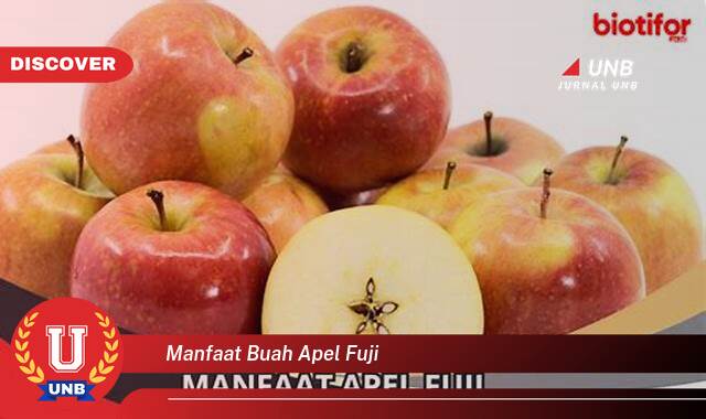 Temukan 8 Manfaat Buah Apel Fuji untuk Kesehatan Anda Temukan 8 Manfaat Buah Apel Fuji untuk Kesehatan Anda
